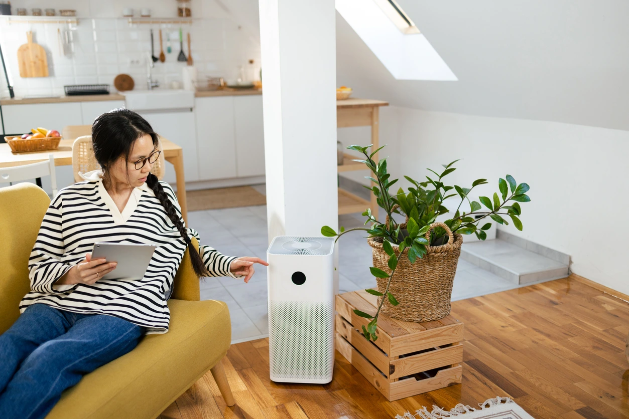 Air Purification Services